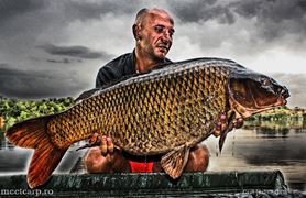 Meet Carp Romanian Awards - 2012